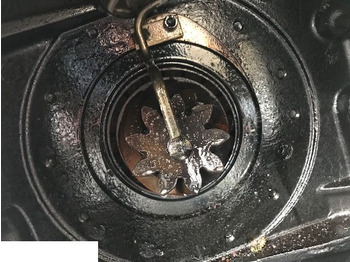 Differential gear CLAAS