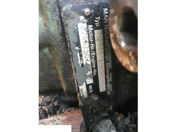 Cylinder head MAN