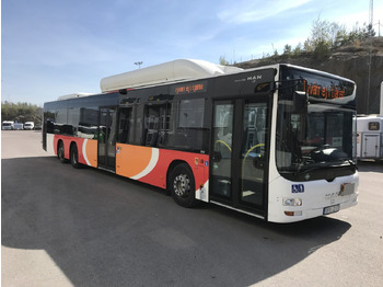 City bus MAN Lion's City A26