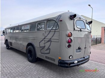 Bus CROWN Oldtimer / Jurybus / Camper 1969: picture 4