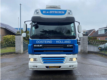 Tractor unit DAF CF 85.460 CF 460 HOLLAND TRUCK: picture 2