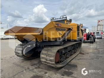 Lease a Bergmann C912S Bergmann C912S: picture 3