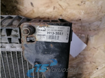 Radiator for Truck MAN Cooling radiator 81061016477: picture 3
