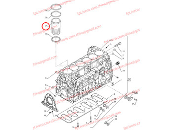 Piston/ Ring/ Bushing for Truck FPT IVECO CASE Cursor9 F2CFE614A*B041/F2CGE614F*V004 5802431166 Cylinder liner 504125561 504202218 504305866: picture 4