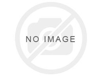 Fuel pump LIEBHERR