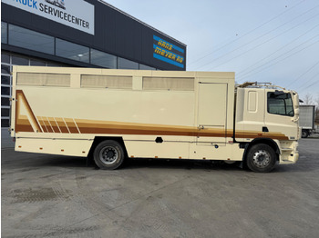 Livestock truck DAF CF410 4x2: picture 4