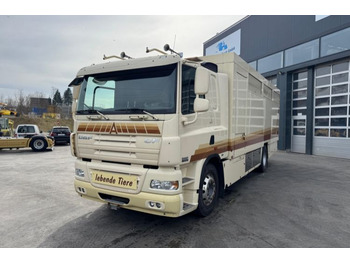 Horse truck DAF CF 410