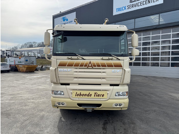 Livestock truck DAF CF410 4x2: picture 2