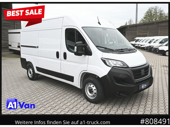 Panel van FIAT Ducato