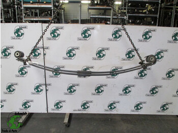 Steel suspension DAF