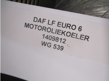 Oil cooler for Truck DAF LF 1409812 MOTOROLIEKOELER EURO 6: picture 2