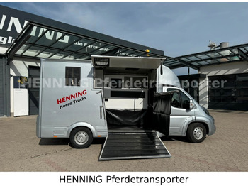Livestock truck Peugeot Boxer 3 - Sitzer: picture 3