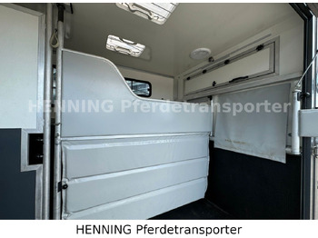 Lease a  Renault 3-Sitzer Renault 3-Sitzer: picture 4