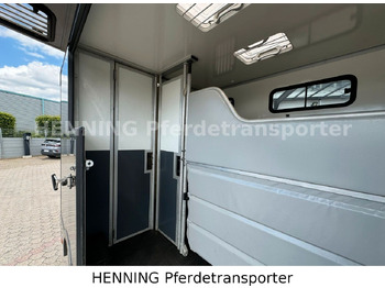 Lease a  Renault 3-Sitzer Renault 3-Sitzer: picture 5