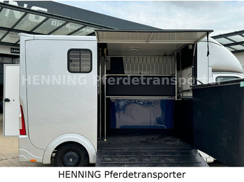 Horse truck Renault Master 3 - Sitzer: picture 5