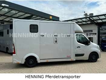Horse truck Renault Master 3 - Sitzer: picture 2
