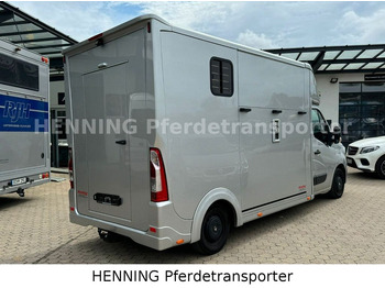 Horse truck Renault Master 3 - Sitzer: picture 3
