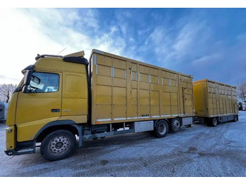Livestock truck VOLVO FH 420
