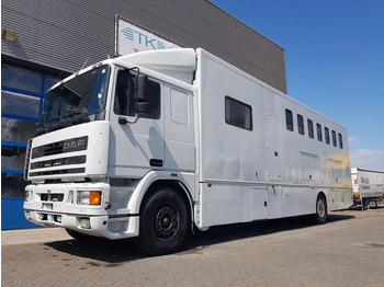 Horse truck DAF 95 350