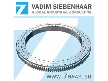 Slewing ring CASE