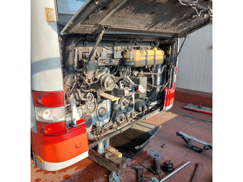 Engine for Truck MAN Regeneracja Remont Naprawa Serwis D0824 D0834 LF LG GF LFL01-61 LOH01-50 D0826 D0836 LF GF LFG LFL LOH LUH D2066 LF LOH LUH D2676 LF LOH 01-49 50-69 70-.. D2866 D2876 LF 01-30 D2866 D2876 4V LF 01-45: picture 5 Engine for Truck MAN Regeneracja Remont Naprawa Serwis D0824 D0834 LF LG GF LFL01-61 LOH01-50 D0826 D0836 LF GF LFG LFL LOH LUH D2066 LF LOH LUH D2676 LF LOH 01-49 50-69 70-.. D2866 D2876 LF 01-30 D2866 D2876 4V LF 01-45: picture 5