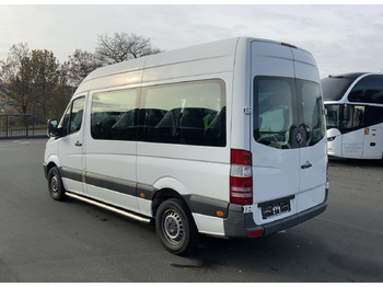 Minibus, Passenger van Mercedes-Benz 313 CDI Sprinter: picture 3