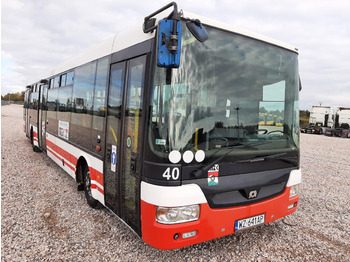 City bus SOR SOR NB 12 AUTOBUS: picture 1