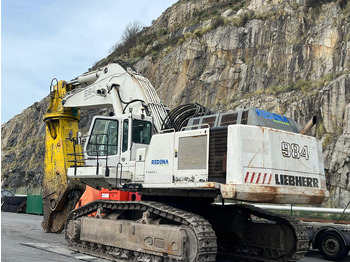 Crawler excavator LIEBHERR