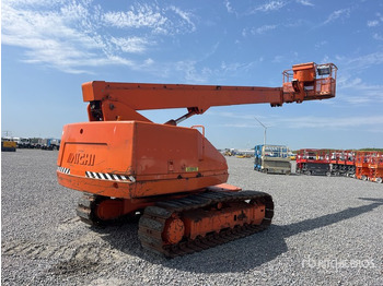 Flail mower/ Mulcher