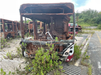 City bus IVECO