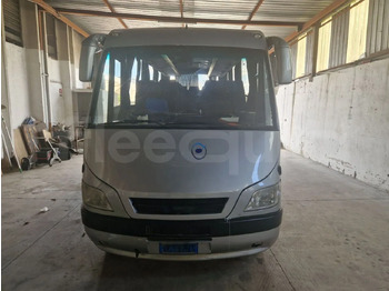 Coach IVECO