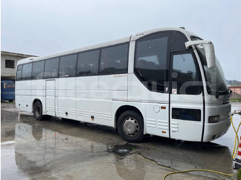 Coach IVECO