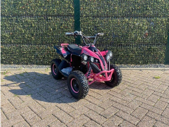 Side-by-side/ ATV