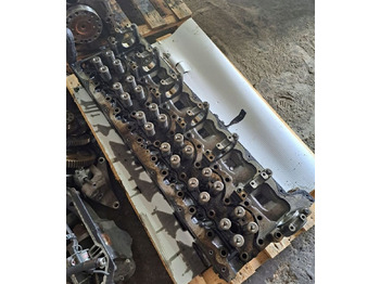 Cylinder head RENAULT Magnum