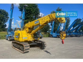 Mini crane