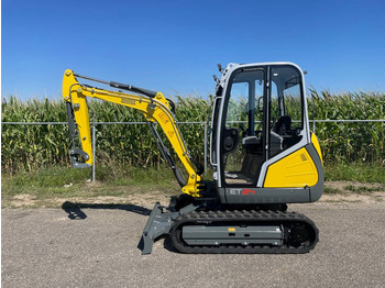Mini excavator WACKER