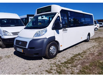 Minibus FIAT Ducato