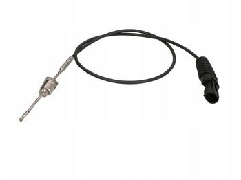 Muffler/ Exhaust system DAF CF