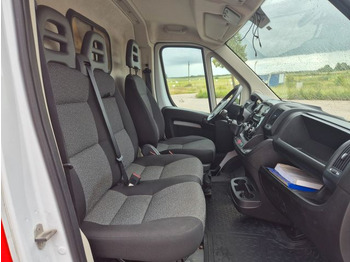 Refrigerated van Fiat Ducato Refrigerated Van: picture 5