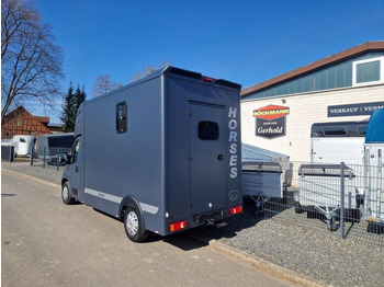 Horse truck MSG Stablehopper Pferdetransporter Pferdeanhänger Böckmann: picture 4