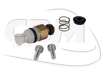 Door and parts IRISBUS