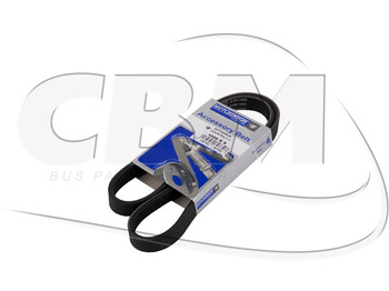 Belt IRISBUS