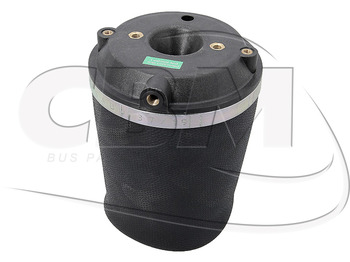 Air suspension DAF