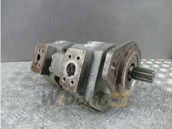 Hydraulic pump