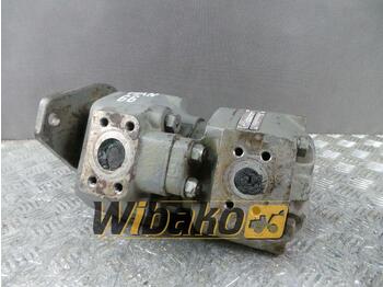 Hydraulic pump