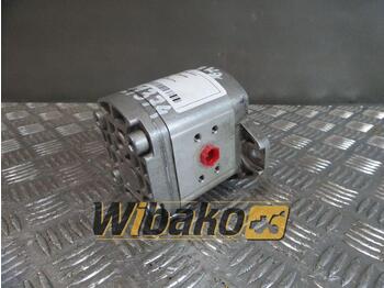 Hydraulic pump