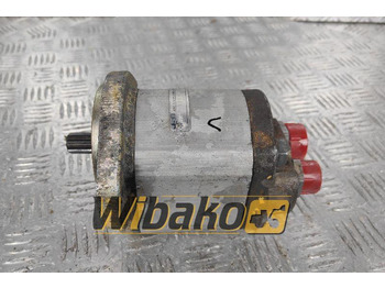 Hydraulic pump