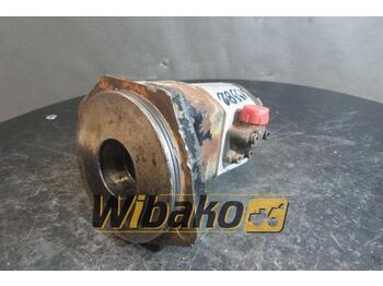Hydraulic pump MARZOCCHI POMPE