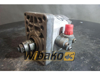 Hydraulic pump REXROTH