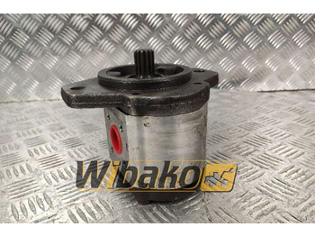 Hydraulic pump REXROTH